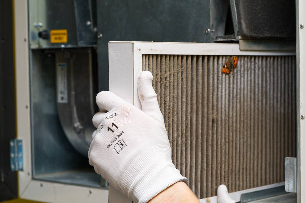 Best Affordable HVAC Duct Cleaning  in Diberville, MS