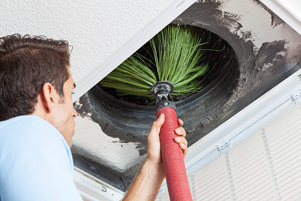 Best Affordable Duct Cleaning Services  in Diberville, MS